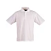 Unisex Traditional Polo PS11