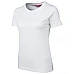 Ladies Plain Cotton T-Shirt