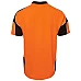 Hi Vis Arm Panel Polo