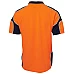 Hi Vis Arm Panel Polo