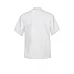 Executive Chefs Lightweight Jacket - Short Sleeve Cj049