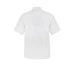 Executive Chefs Jacket With Press Studs - Short Sleeve Cj040