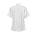 Ladies Executive Chefs Lightweight Jacket - Short Sleeve Cjl22